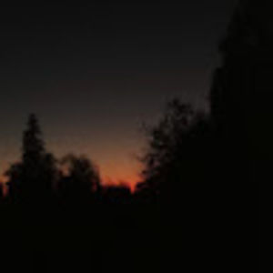 Meet your Posher, Mackenzie